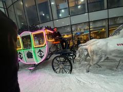 -世界之窗阿尔卑斯冰雪世界