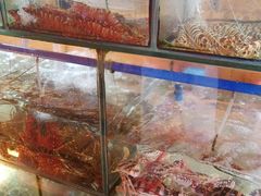 -蓝湾碧波·老字号·疍家非遗海上餐厅
