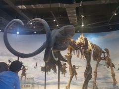 -辽宁古生物博物馆