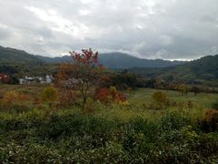 -塔川景区