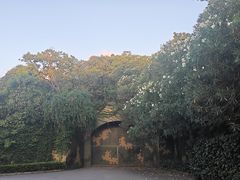 -吴淞炮台湾湿地森林公园烧烤区