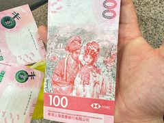 -新记车仔面