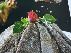 -小板凳·锦州烧烤(高新区店)