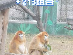 -西安秦岭野生动物园