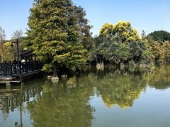 -海珠湖公园