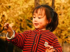 -重庆市江北嘴中央商务区中央公园