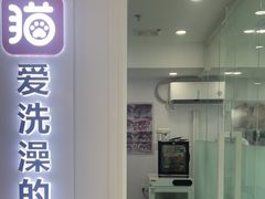 -爱洗澡的猫(望京店)