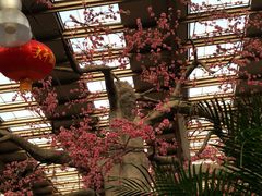 -兴芮温泉度假区