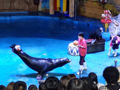 -烟台海昌鲸鲨海洋公园