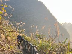 -靖西鹅泉风景区
