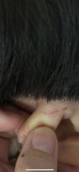 -金小贤专业儿童造型(汉街店)