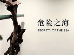 -王府半岛酒店
