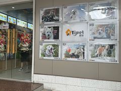 -翊宠yipet猫狗购宠庄园犬舍•猫舍