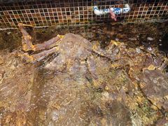 -海鲜e族(马王堆店)