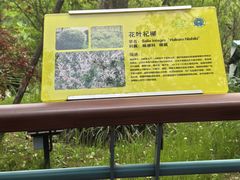 -吴淞炮台湾湿地森林公园烧烤区