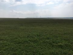 -空中草原