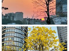 -洲头咀公园