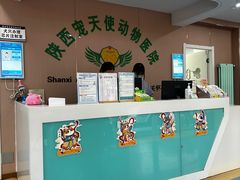 -天使宠物医院·犬猫分诊(彩虹店)