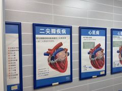 -芭比堂动物医院·心脏科·老年急重症·夜诊·吉雅分院