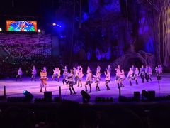 -广州长隆国际大马戏