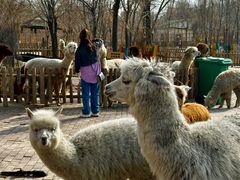 -水上乐园·欢乐世界