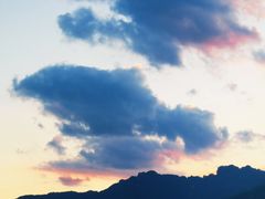 -猪脑壳凉面(武陵源店)