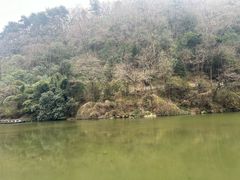 -黔灵山公园