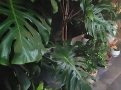 -阿伟海鲜楼·福建菜(涵江店)