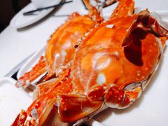 -大锅强·蒸海鲜青岛菜(吾悦广场店)