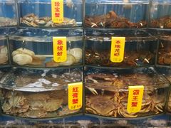 -渔中舟海鲜大排档(普陀沈家门店)