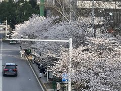 -华中科技大学光谷体育馆