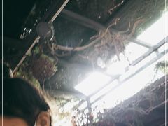 -有喜胶东小馆(超极合生汇太申祥和店)