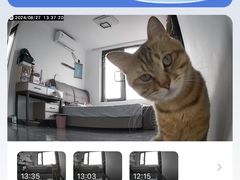 -萌兽医馆·宠物医院·猫骨科(创景店)