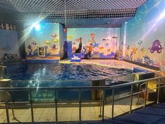 -太平洋海底世界