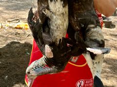 -坛南湾阿强农家乐.海鲜大排档老字号(福州地标美食店)