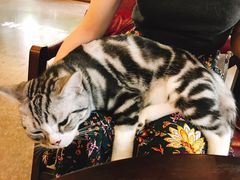 -咖法森林·咖啡  酒吧(天河店)