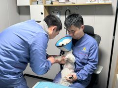 -半岛宠物医院24小时(科华中路店)