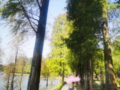 -南国桃园旅游度假区