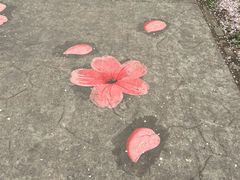 -高东镇樱花园