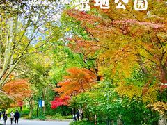 -上海吴淞炮台湾国家湿地公园