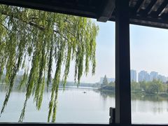 -洋湖国家湿地公园