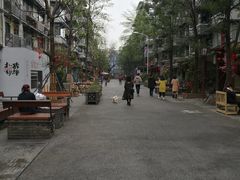 -泡桐树街