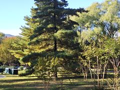 -国家植物园南园