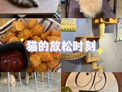 -豆逗聊愈猫阁Easy Life