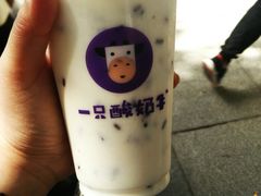 -一只酸奶牛(八一路店)