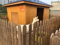 -上海崇明金茂凯悦酒店