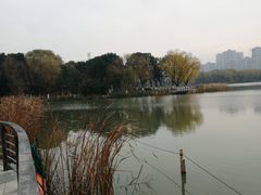 -昆山城市生态森林公园