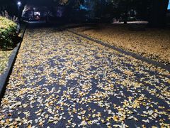 -东京国立博物馆