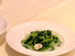 上汤春菜苗-利苑酒家(宜安广场店)