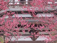 -洋湖国家湿地公园